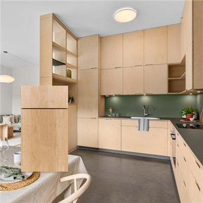 Modern Natural Maple Kitchen Cabinets